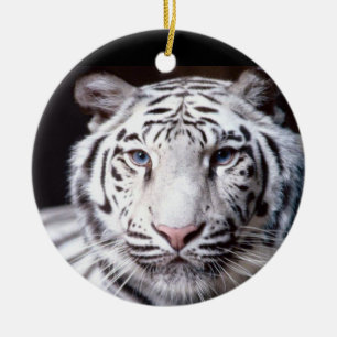 Décoration En Céramique Photographie blanche de tigre de Bengale