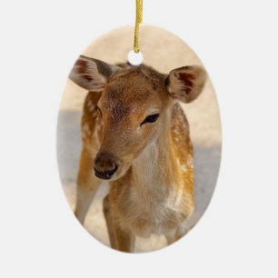 Décoration En Céramique Photographie de cerfs fantaisistes de la forêt
