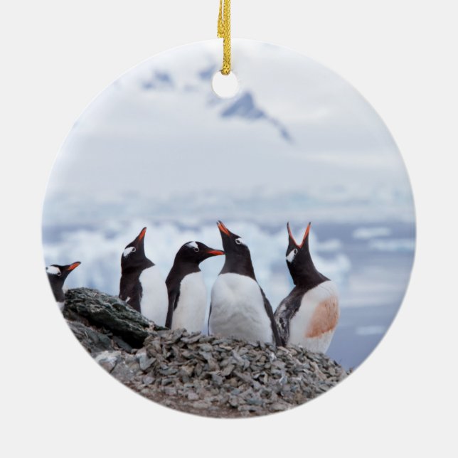Décoration En Céramique Pingouins en Antarctique (Dos)