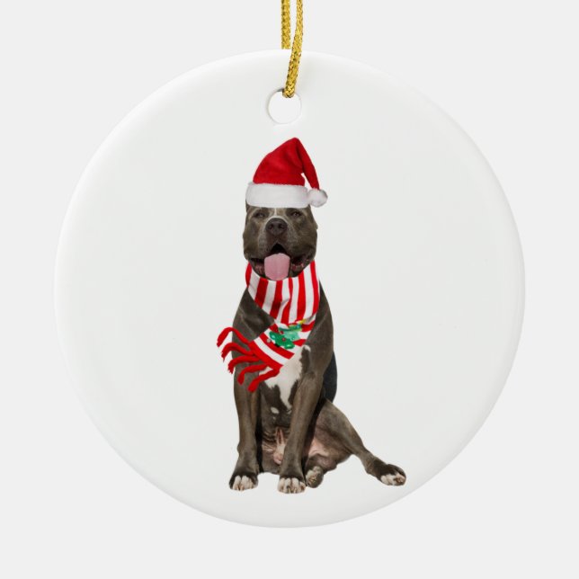 Décoration En Céramique PITBULL Avec Casquette Scaft Noël (Devant)