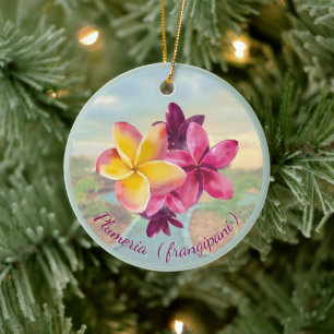 Décoration En Céramique Plumeria