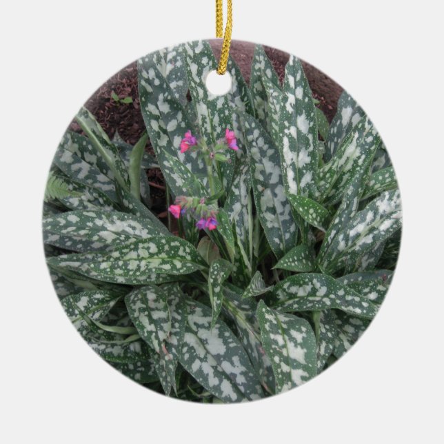Décoration En Céramique Pluriannuel de Pulmonaria - de Lungwort (Devant)