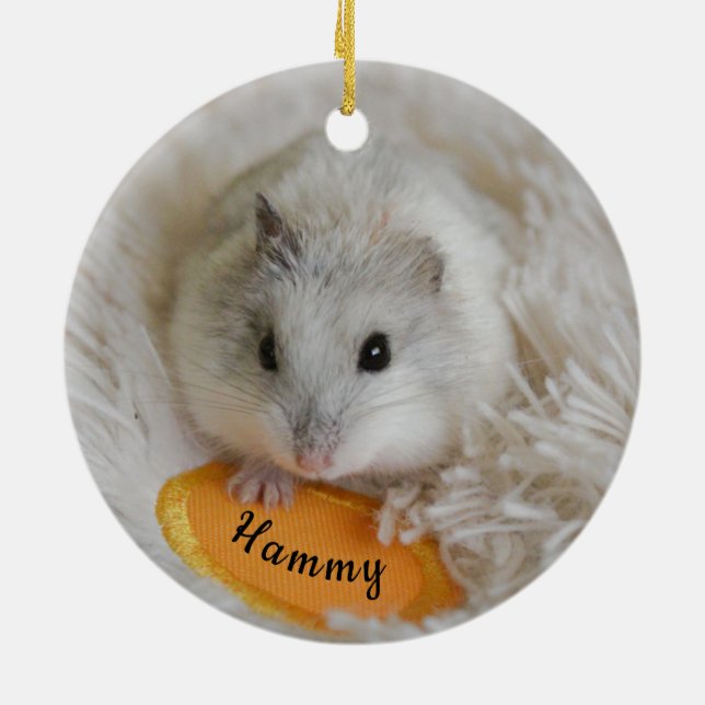 Décoration En Céramique Poète de hamster nain blanc personnalisé (Dos)