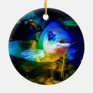 Décoration En Céramique Poisson curieux