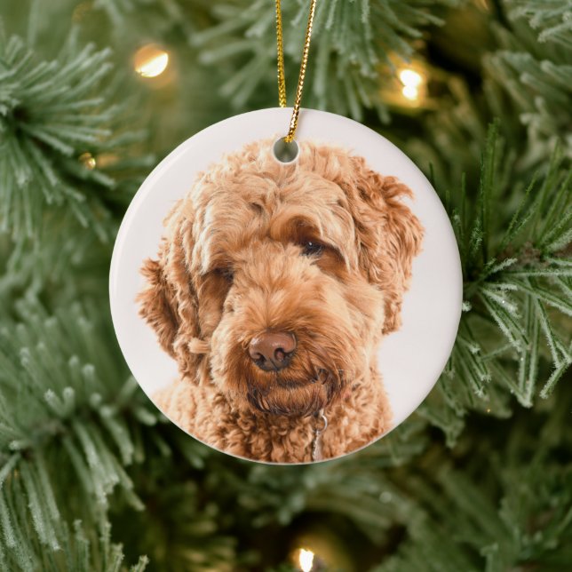 Décoration En Céramique Portrait de Goldendoodle Studio (Arbre)
