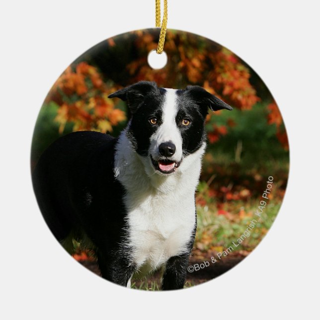 Décoration En Céramique Position d'automne de border collie (Devant)