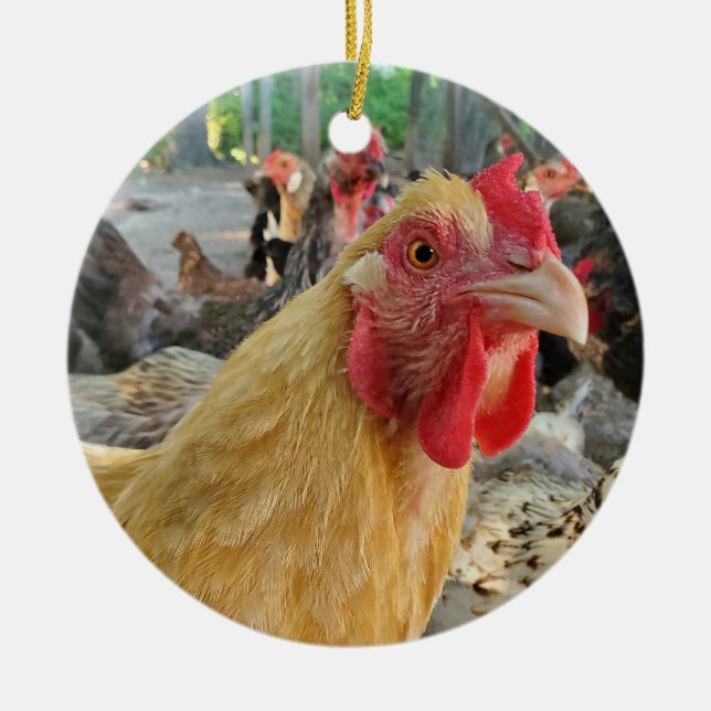 Décoration En Céramique Poulet (Devant)