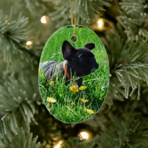 Décoration En Céramique Prairie Bouledogue Français