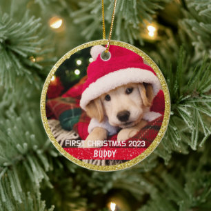 Décoration En Céramique Premier Noël Chien Chien Chien Gardien Photo Ornem