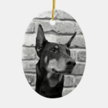 Puis-Je Te Lacher Le Visage