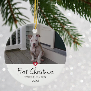 Décoration En Céramique Puppies photo de Noël