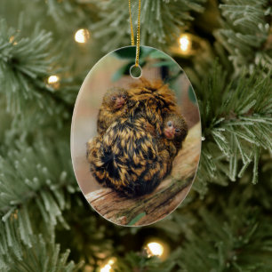 Décoration En Céramique Pygmy Marmoset avec jumeaux
