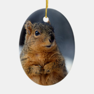 Décoration En Céramique Qui moi écureuil