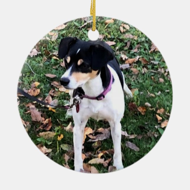 DÉCORATION EN CÉRAMIQUE RAT TERRIER CHIEN CHRISTMAS ORNAMENT (Dos)