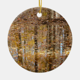 Décoration En Céramique Réflexion dans le ruisseau Still au parc Greenbelt