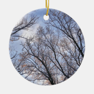 Décoration En Céramique Regard sur les arbres du matin d'hiver