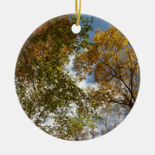 Décoration En Céramique Regard sur les feuilles d'automne II Automne Natur