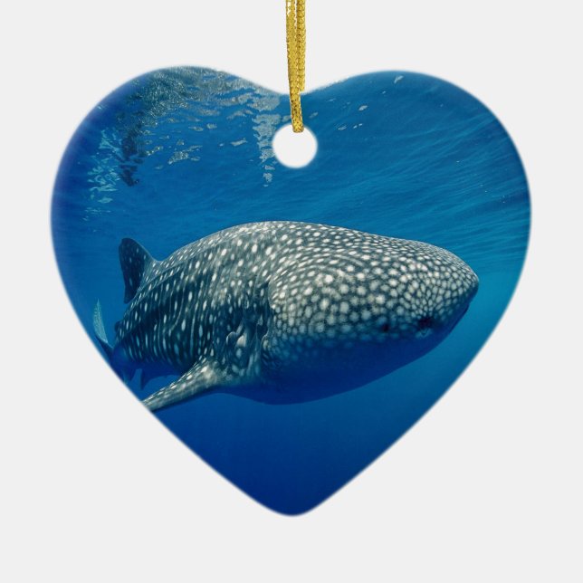 Décoration En Céramique Requin baleine (Devant)