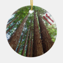 Réserve forestière la Californie d'arbres de