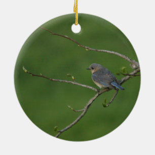 Décoration En Céramique Ressort/Pâques : Oiseau bleu masculin, oiseau ble