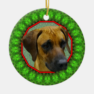 Décoration En Céramique Rhodesian Ridgeback Howliday heureux