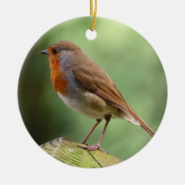 Décoration en céramique Robin (Devant)