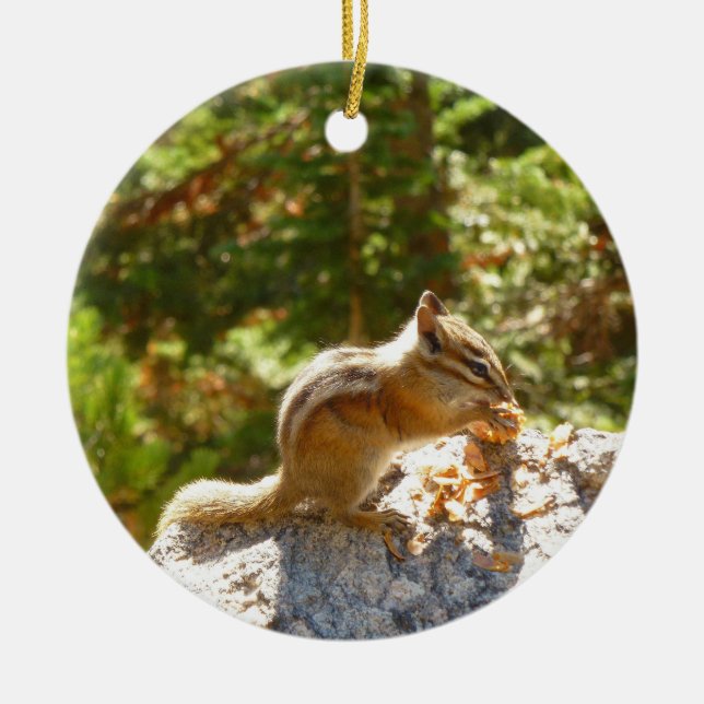 Décoration En Céramique Rocky Mountain Chipmunk (Devant)
