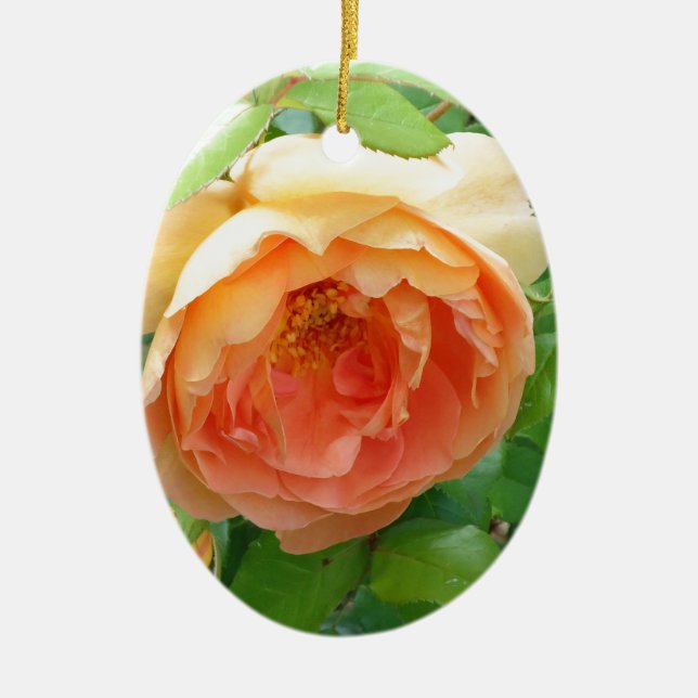 Décoration En Céramique Romantique élégante Orange photo Rose (Devant)
