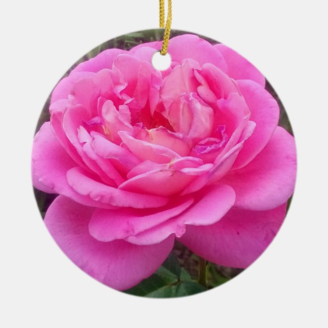 Décoration En Céramique Rose rose 'Léonard de Vinci' (Devant)