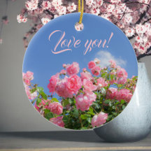Rosier rose sous ciel bleu, coutume