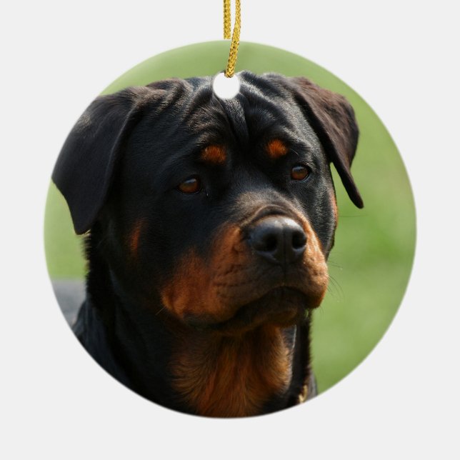 Décoration En Céramique Rottweiler (Devant)