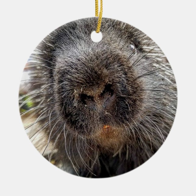 Décoration En Céramique Rox 2016 (Devant)