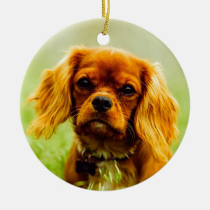 Décoration En Céramique Ruby Cavalier le roi Charles Spaniel