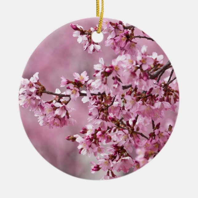Décoration En Céramique Sakura Cherry Blossoms Couches rose pastel (Devant)