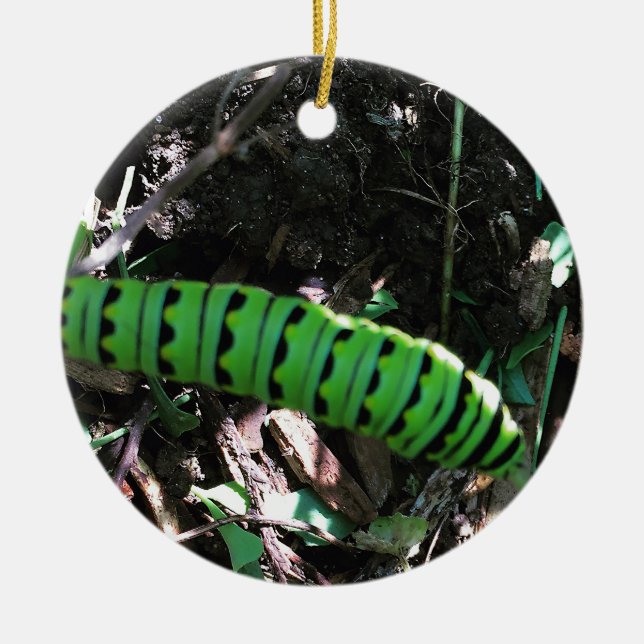 Décoration En Céramique Sauvez les monarques de l'Ohio | Caterpillar (Devant)