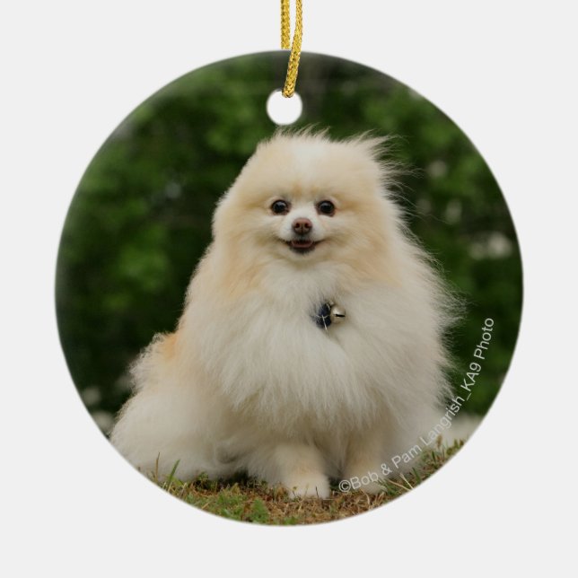 Décoration En Céramique Séance de Pomeraning (Devant)