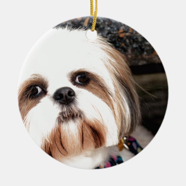 Décoration En Céramique Shih Tzu (Devant)