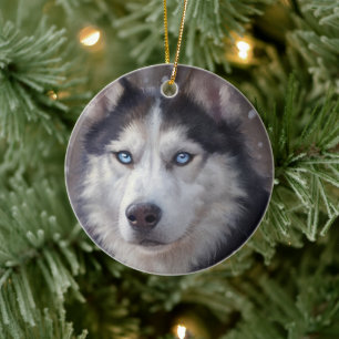 Décoration En Céramique Sibérien Husky