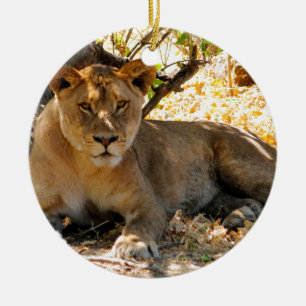 Décoration En Céramique Siesta Time