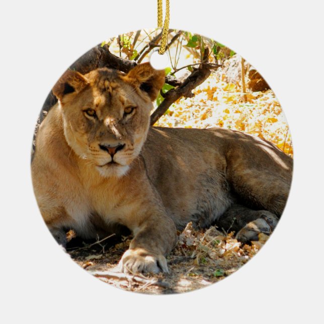 Décoration En Céramique Siesta Time (Devant)