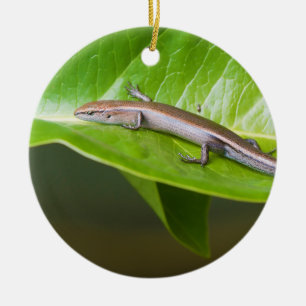Décoration En Céramique Skink frais métallique Niveoscincus Metallicus