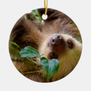 Décoration En Céramique Sloth & Capybara