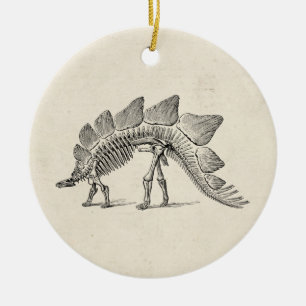Décoration En Céramique Stegosaurus Dinosaure Squelette Fossile