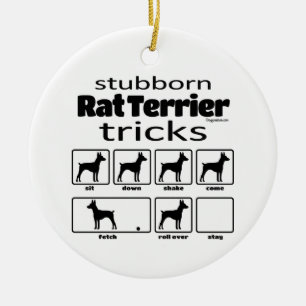 Décoration En Céramique Stubborn Rat Terrier Tricks