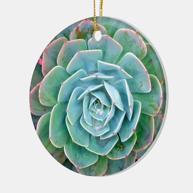 Décoration En Céramique Succulent (Gauche)