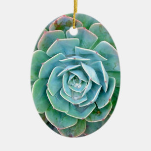 Décoration En Céramique Succulent