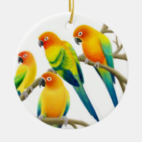 Sun Conure Parrots l'ornement