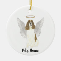 Sympathie Springer Spaniel Anglais à foie rouge et
