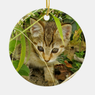 Décoration En Céramique Tabby kitten