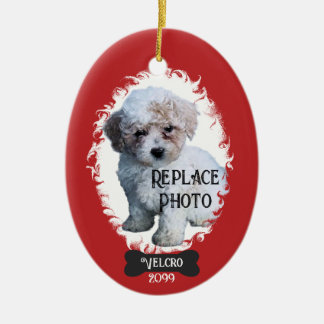 Décoration En Céramique Télécharger Portrait annuel de l'animal de Noël Ph